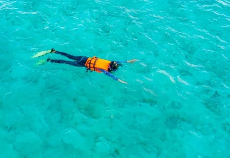 Daymaniyat Snorkeling — Al Mog (private boat)