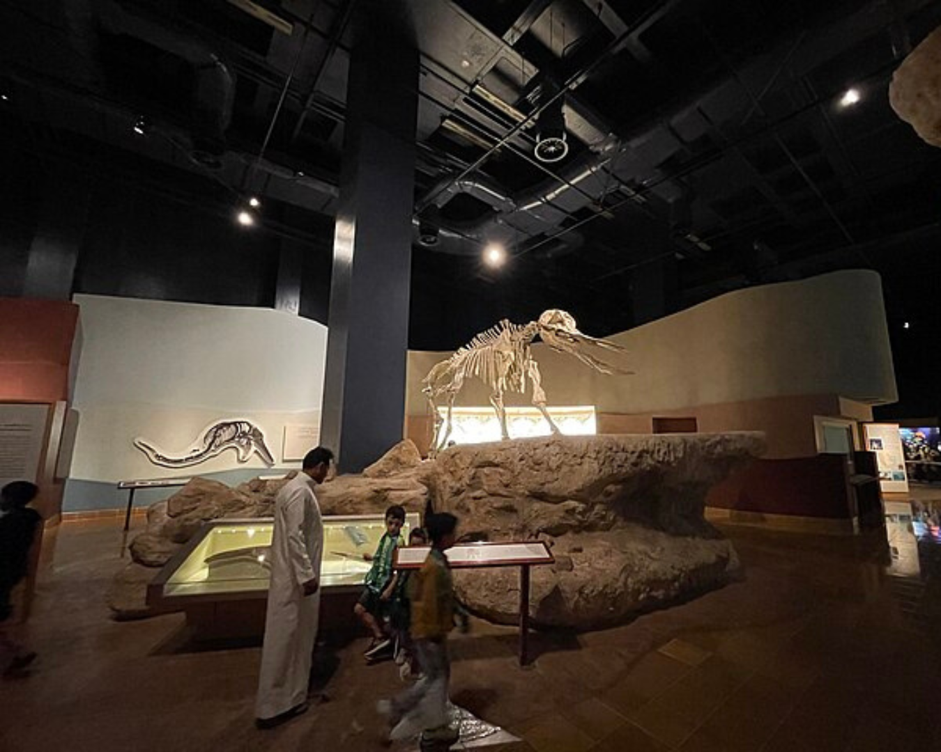 Gallery view 5