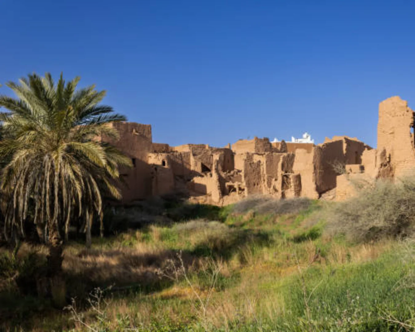 Heritage Villages Tour: Visit Ushaiger And Shagra