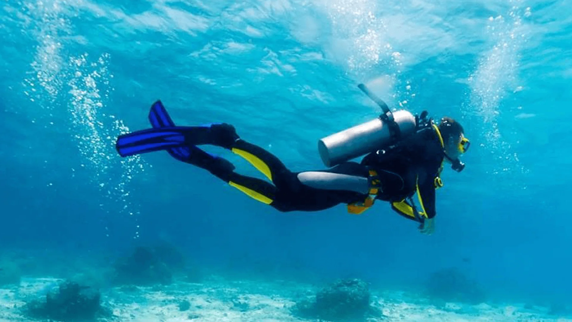 Gallery view 2